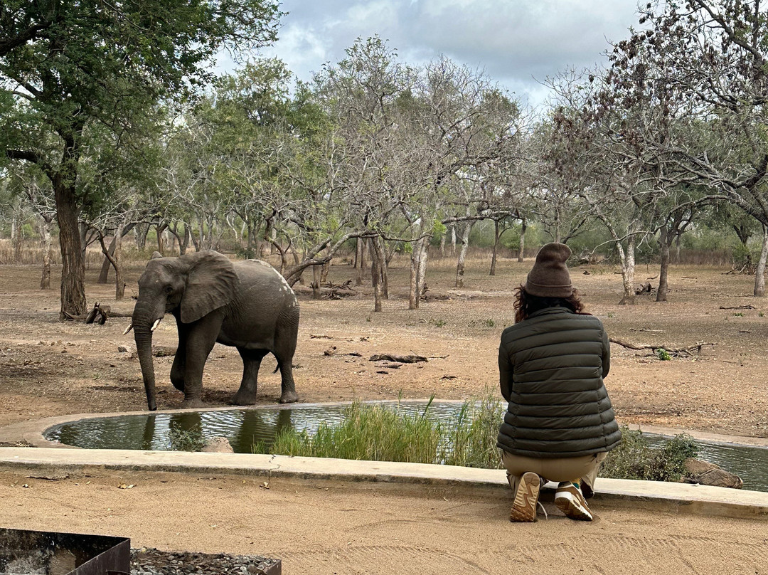 Orbis DMC-布兰岱必去景点
