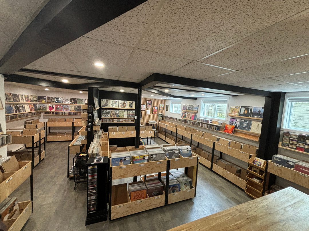 Audiostop Disquaire景点图片