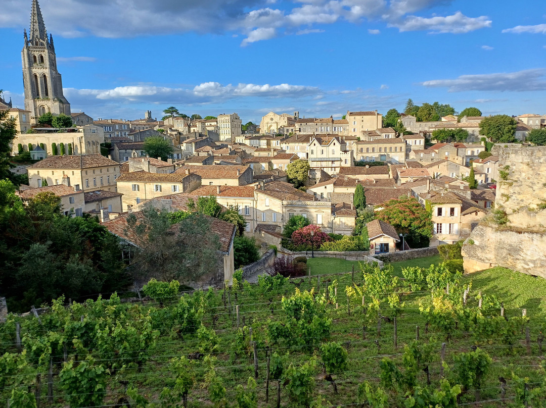 Au Vélo Dans L'Arbre主图