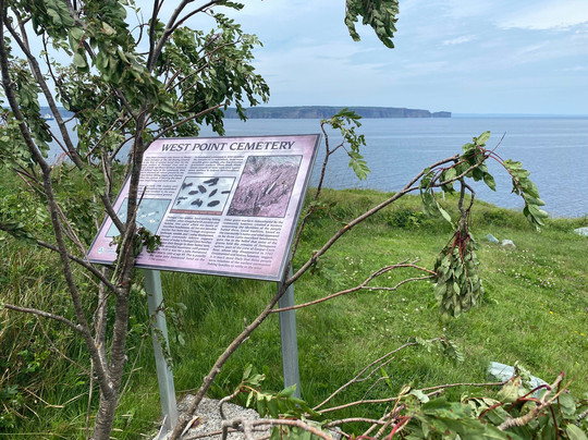 West Point Cemetery-Portugal Cove-St. Philip's必去景点