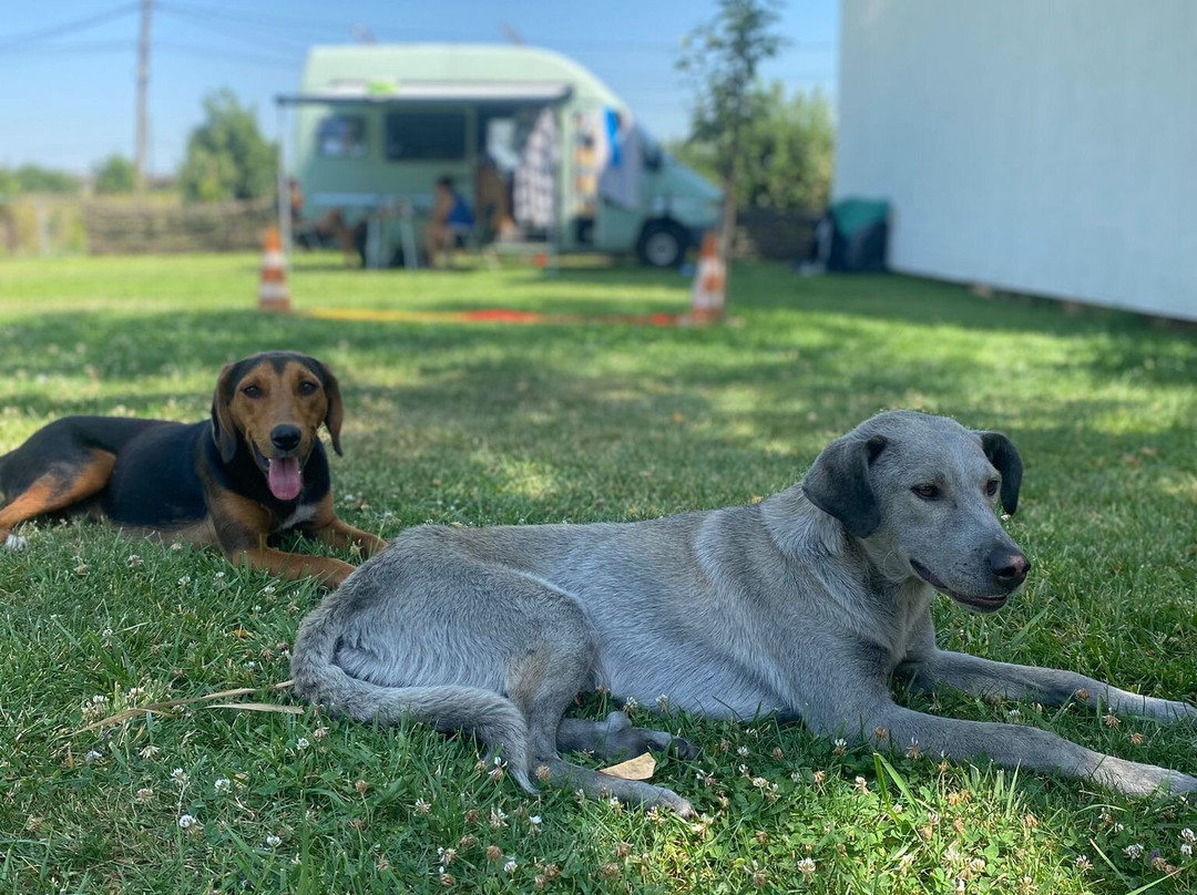 Hotel Gracanica主图