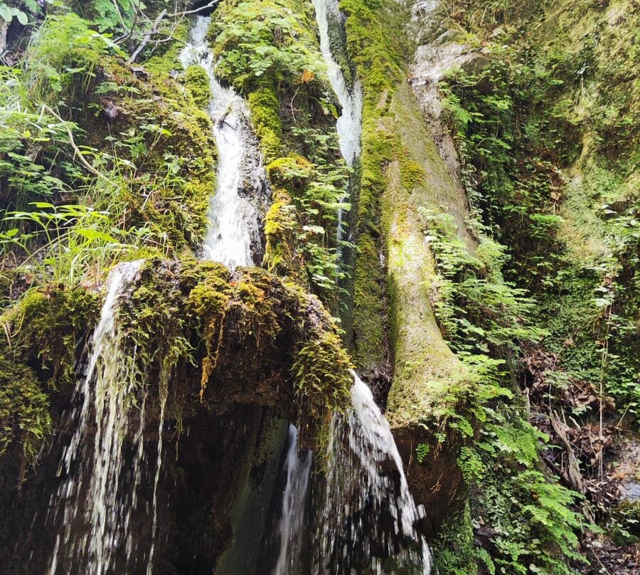 Oasi Wwf Valle della Caccia-Senerchia必去景点