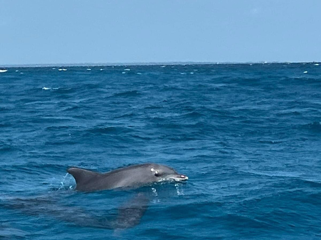 Zanzibar Yacht Charter - Southwest-石头城必去景点