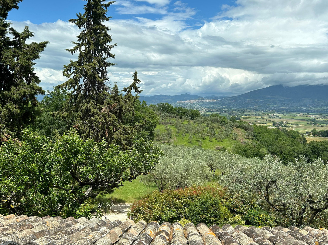 Villa Colle Di Rocco主图