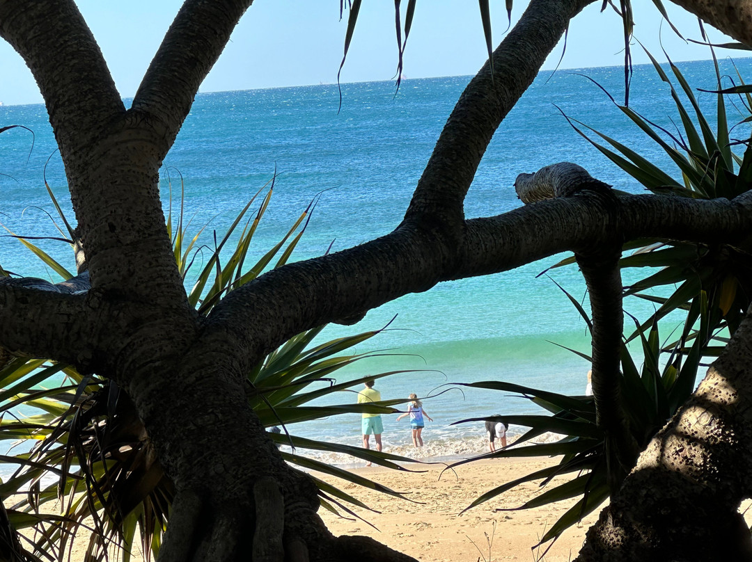 Dicky Beach景点图片