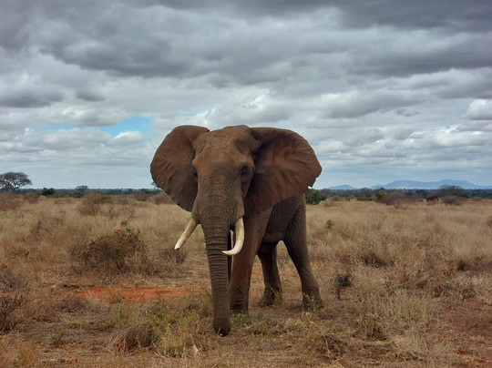 Saidi Agency Kenya-瓦塔木必去景点