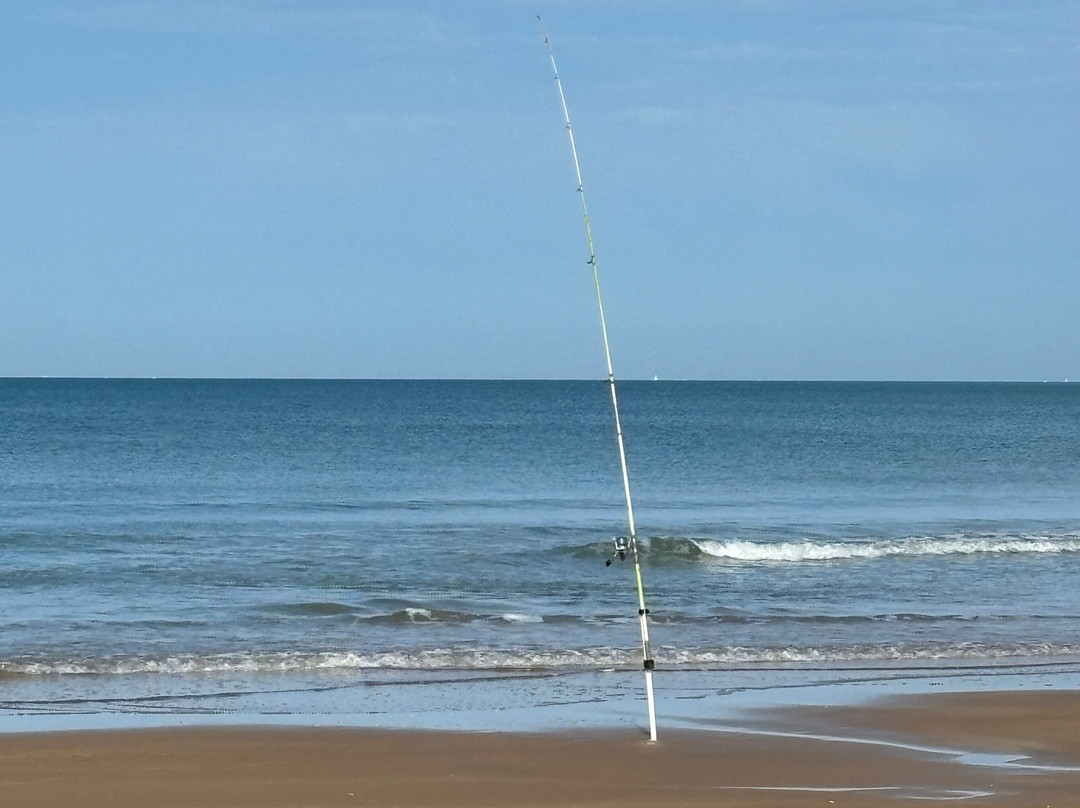 Plage des Conches景点图片