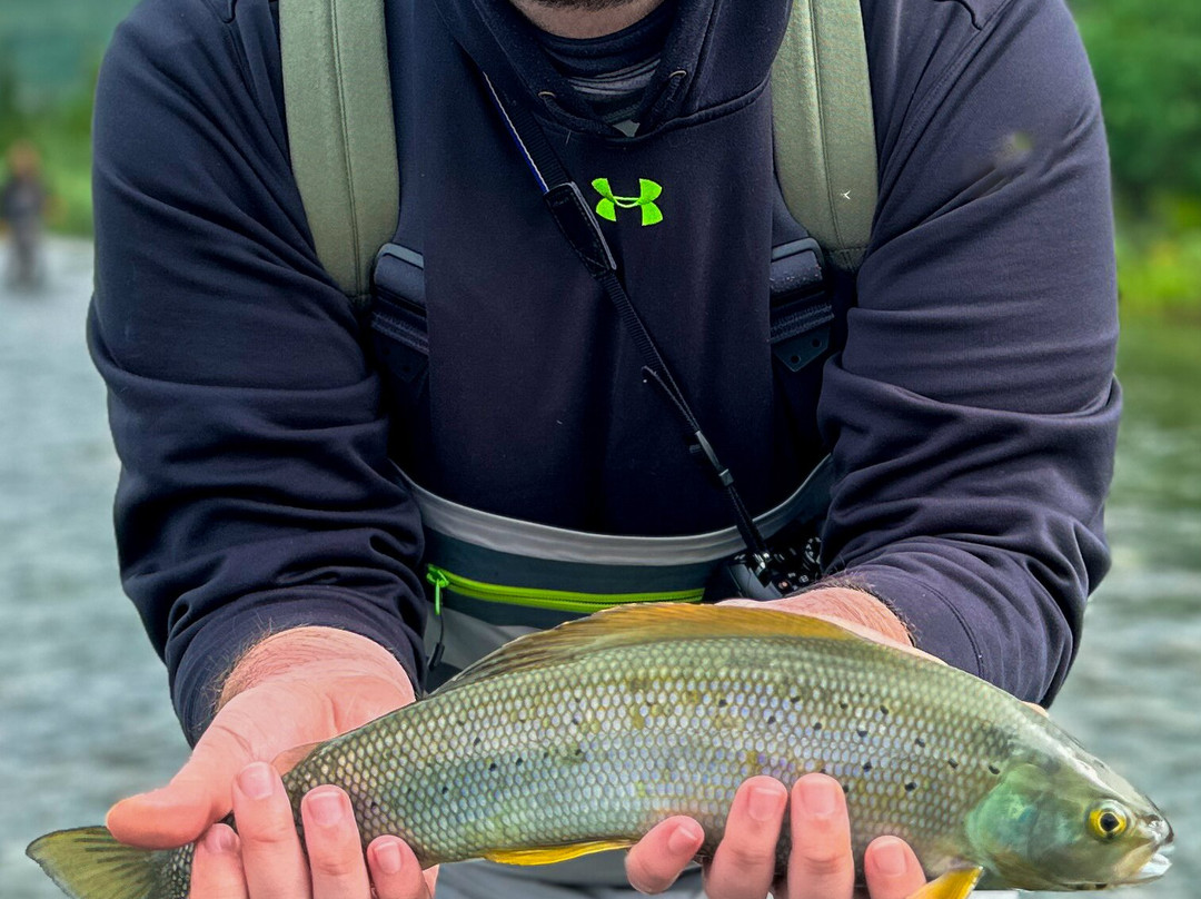 All Alaska Outdoors Lodge主图