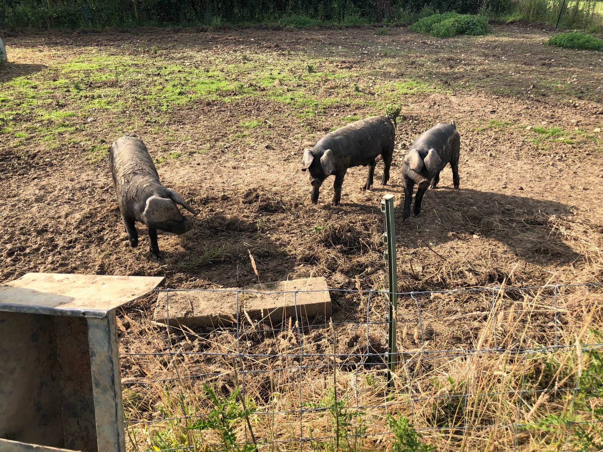 Top Barn Bed & Breakfast-官方