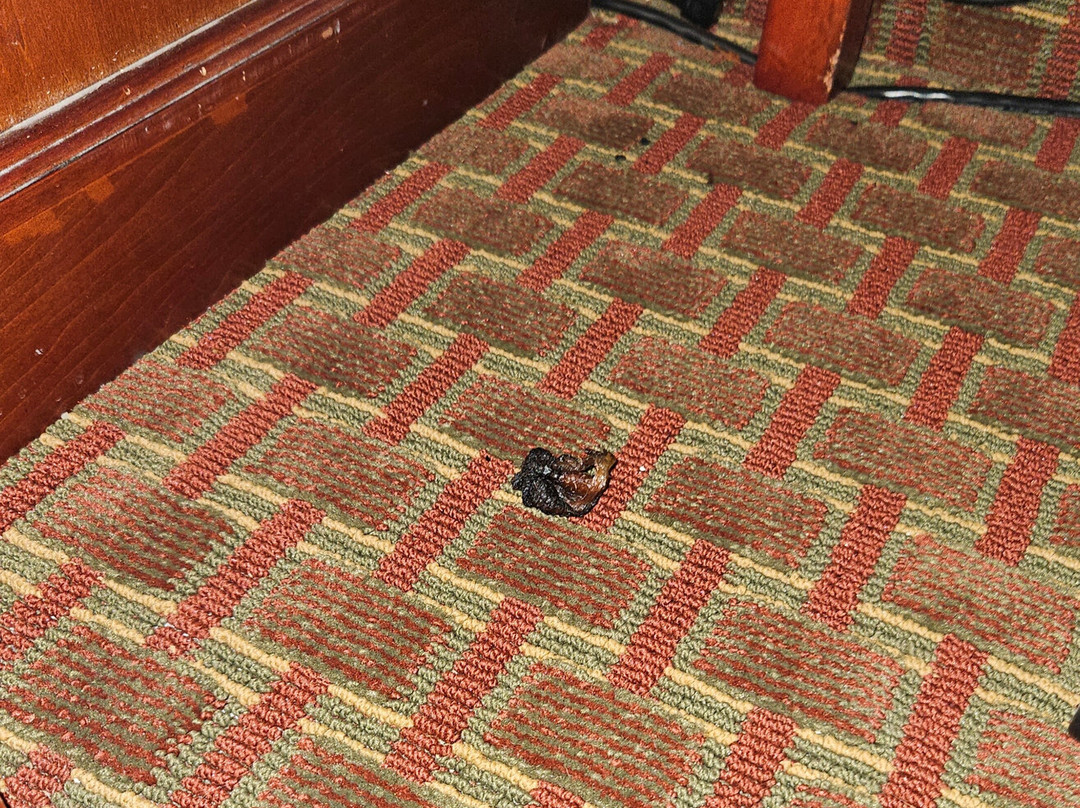 Ramada by Wyndham Enid主图