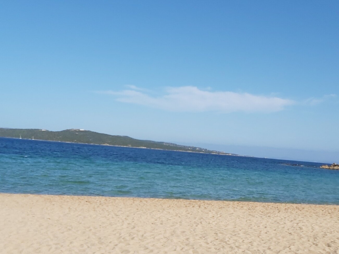 Spiaggia dell'Isola dei Gabbiani (Isuledda)-帕劳必去景点
