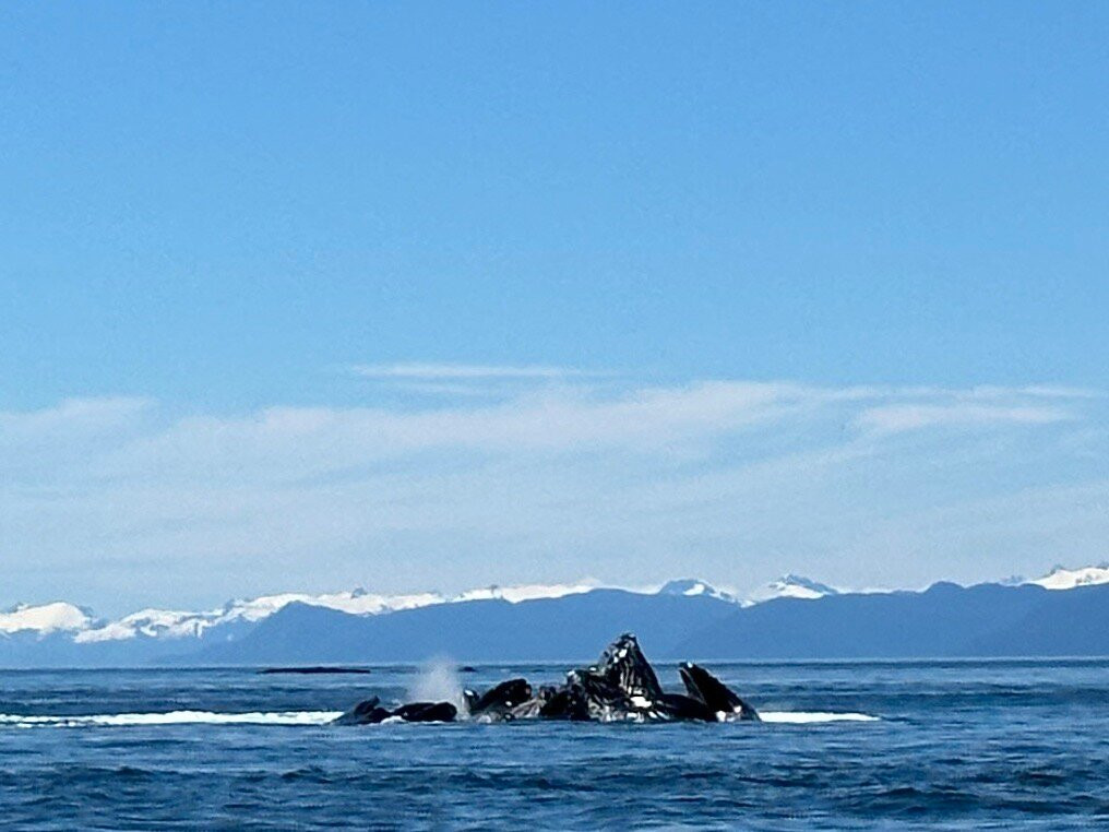 Dangerous Water Adventures