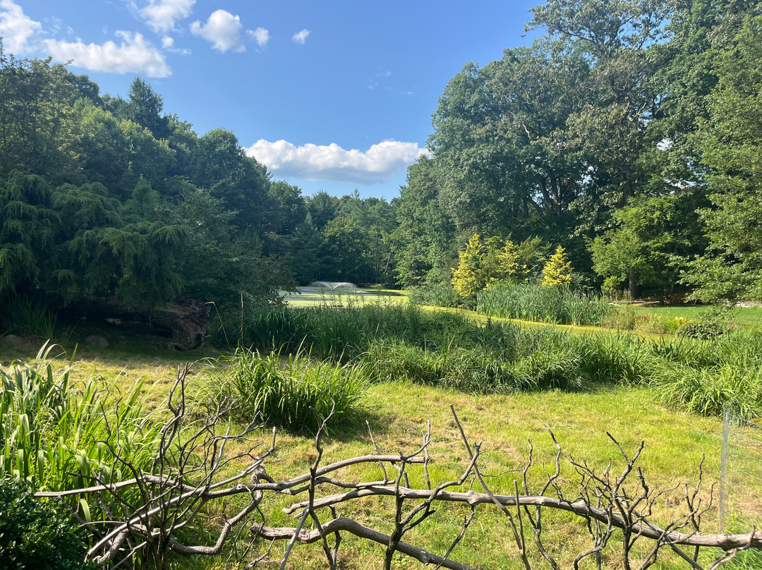 Laurelwood Arboretum景点图片