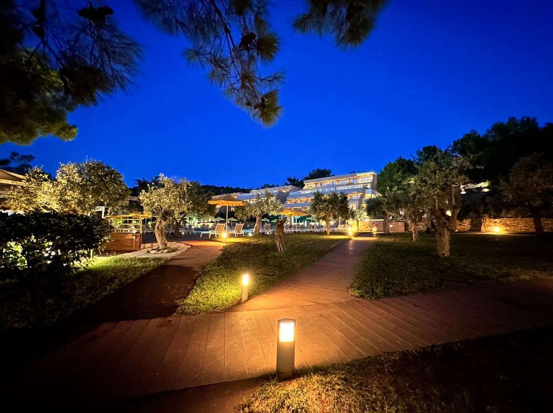 Royal Paradise Beach Resort & Spa主图