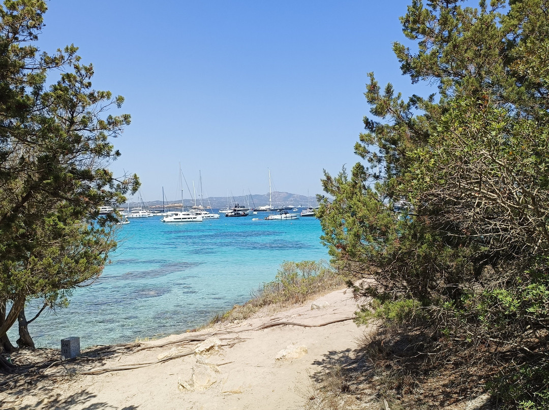 Spiaggia di Cala Sabina-Golfo Aranci必去景点