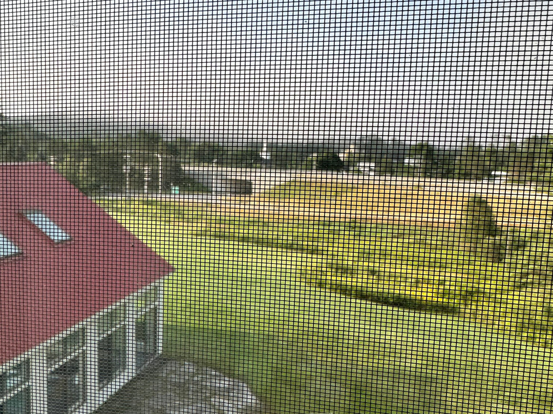 Best Western White Mountain Inn主图