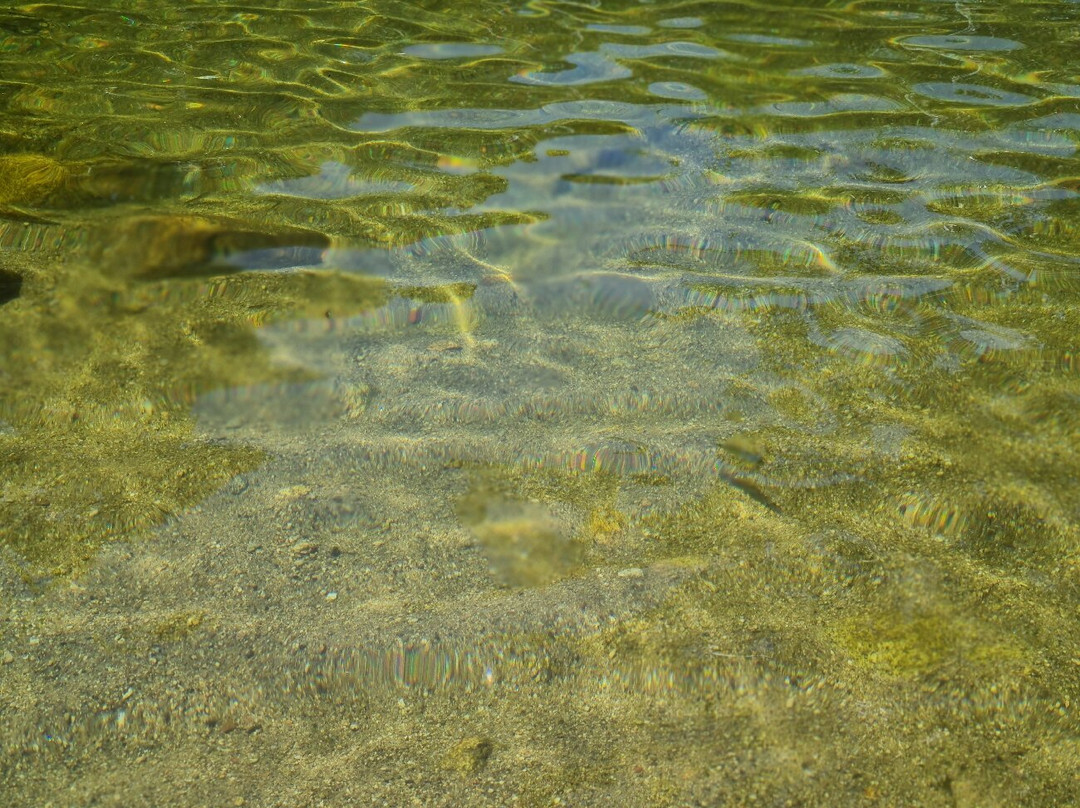 Praia Fluvial de Castelo Novo景点图片