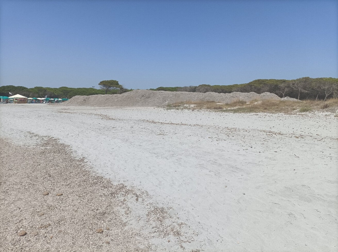 Spiaggia Cala Ginepro e Sa Curcurica-奥罗塞必去景点