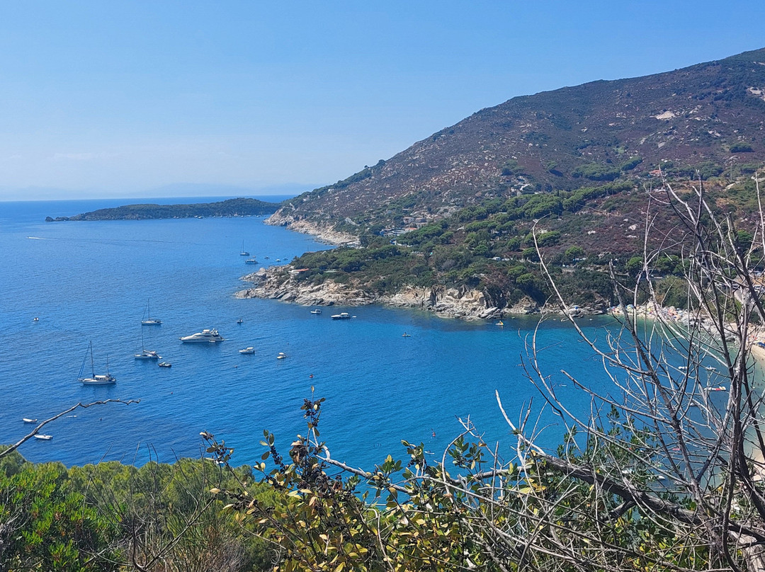 Spiaggia di Cavoli景点图片