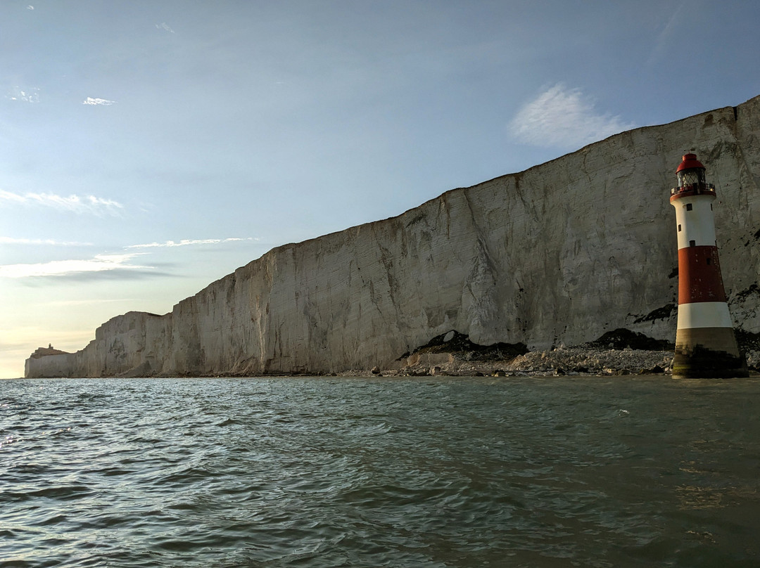 Sussex Dolphin Project-布莱顿必去景点