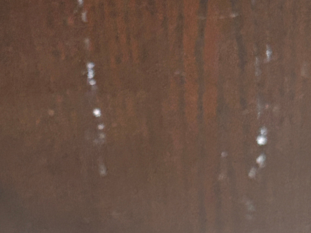 SureStay Plus By Best Western Roanoke Rapids I 95主图