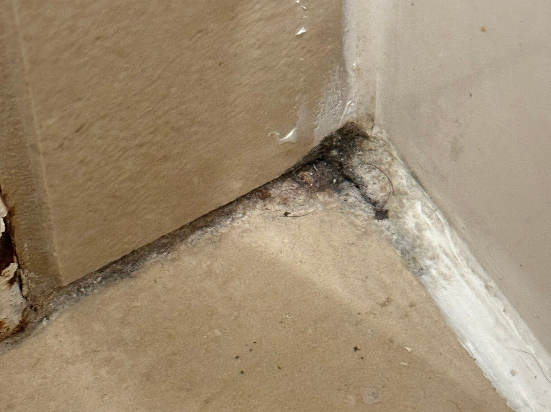 奥塔伊谷PLUS贝斯特韦斯特酒店主图