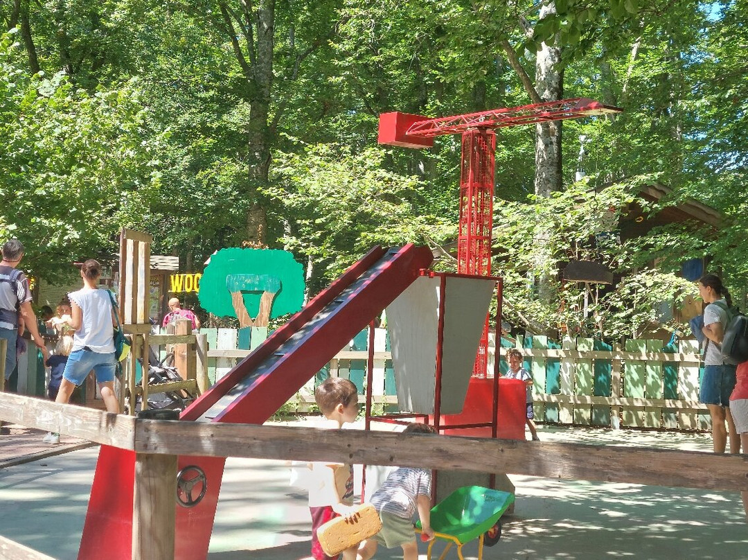 Parco Avventura Cerwood景点图片