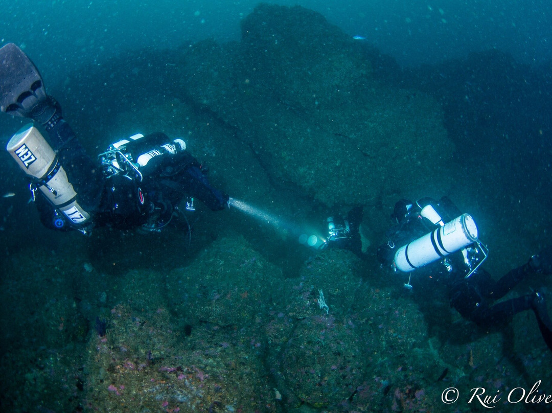 Poseidon Dive Center Portugal-塞新布拉必去景点