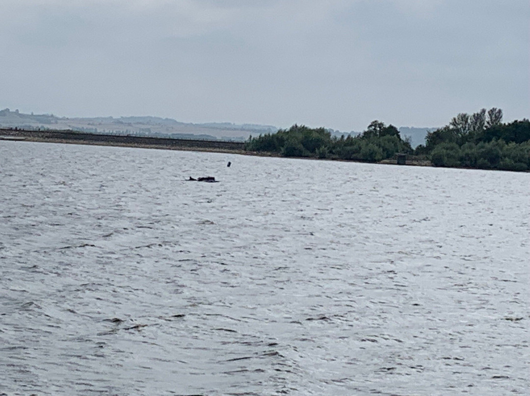 Draycote Water景点图片