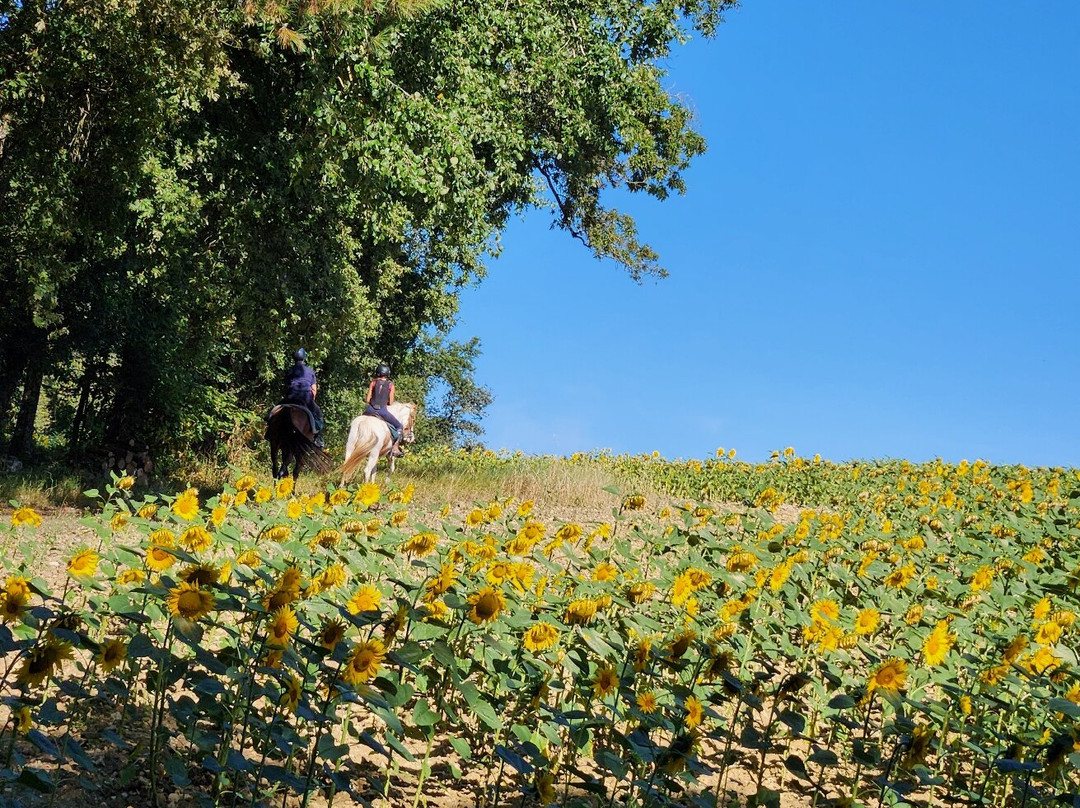 Loire Perspectives-布洛瓦必去景点