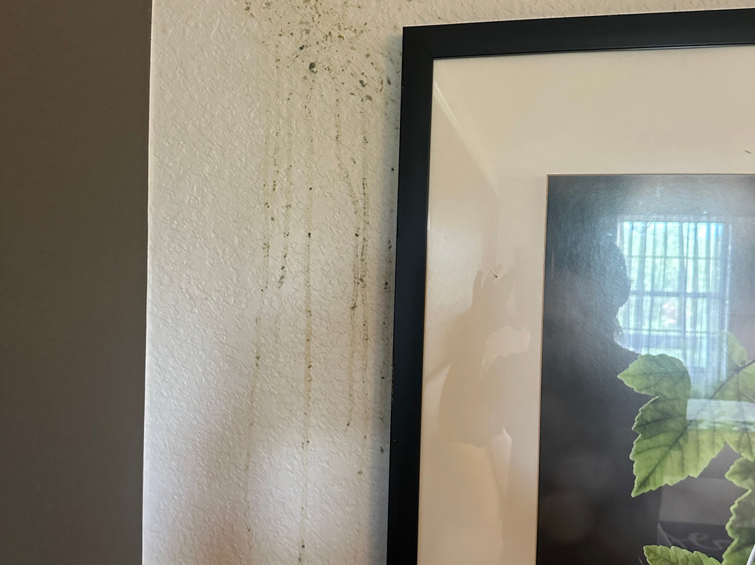 Days Inn by Wyndham Gainesville University I-75主图