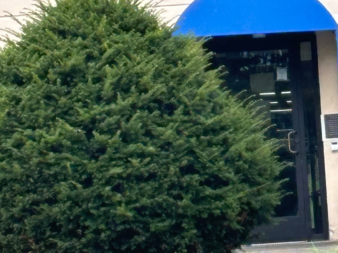 All Seasons Inn & Suites主图