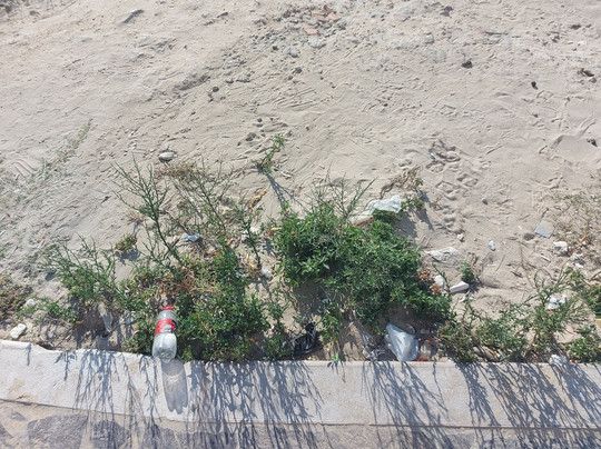 B&B La Casa di Gino主图