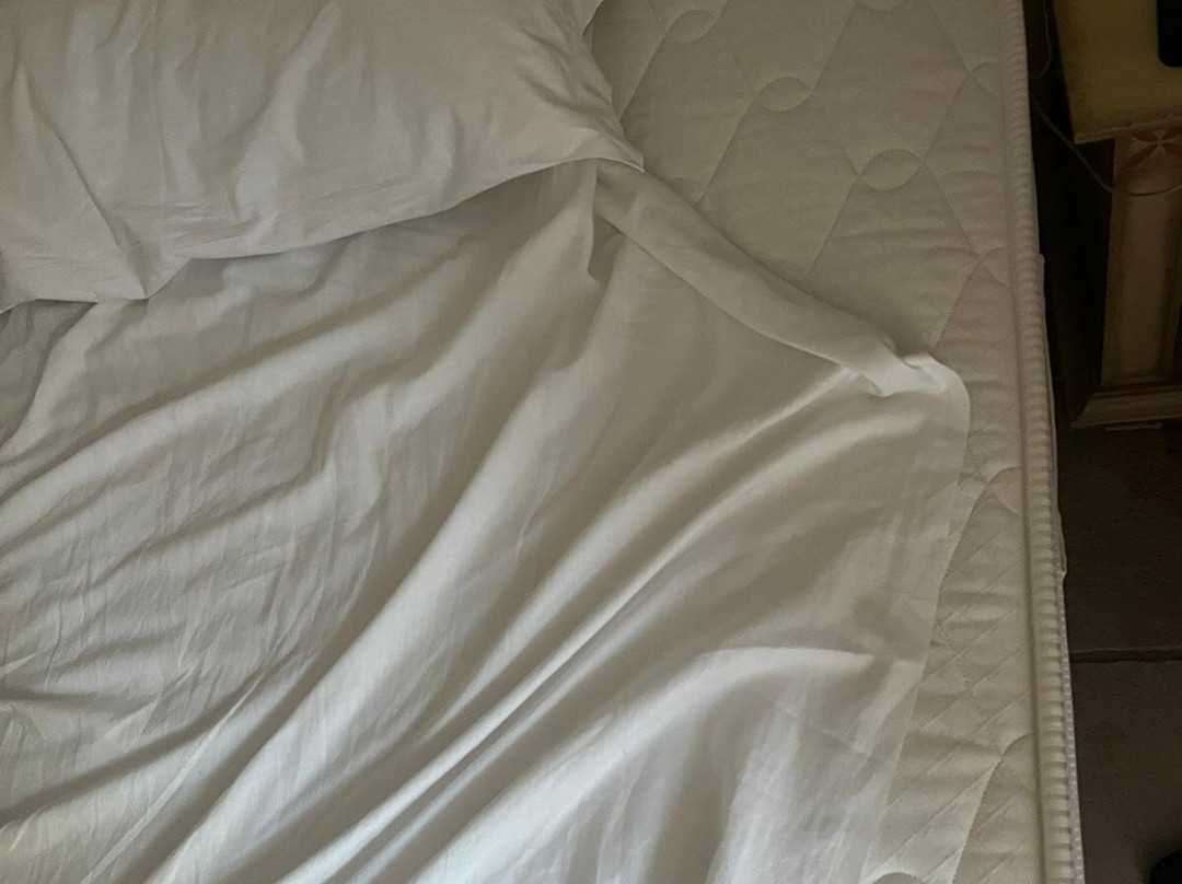 戴安娜酒店主图