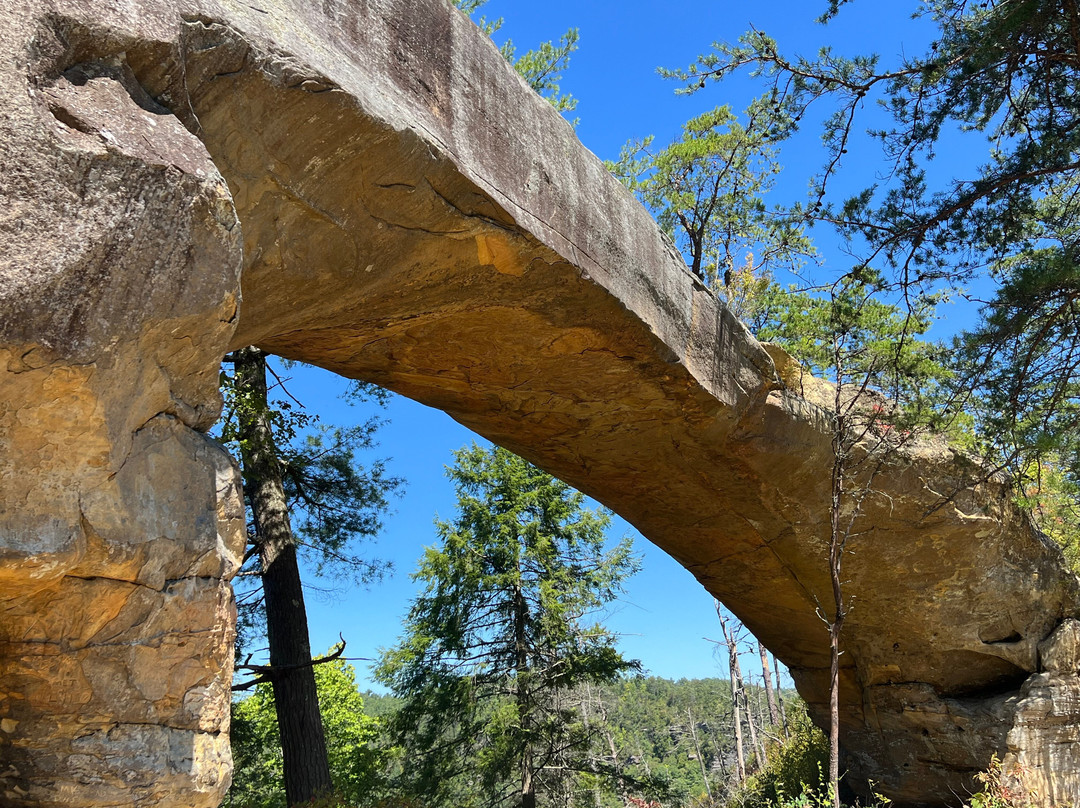 Sky Bridge Trail-Slade必去景点