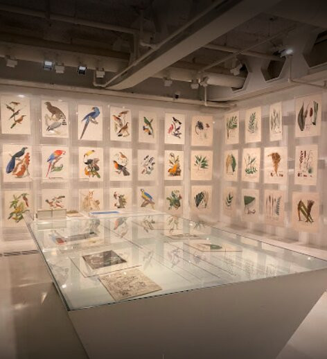 Itau Cultural Institute-圣保罗必去景点