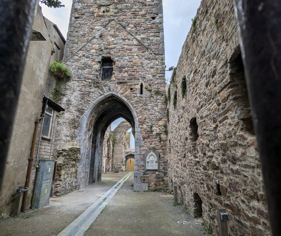 Jack Burtchaell Waterford Walking Tours-沃特福德必去景点