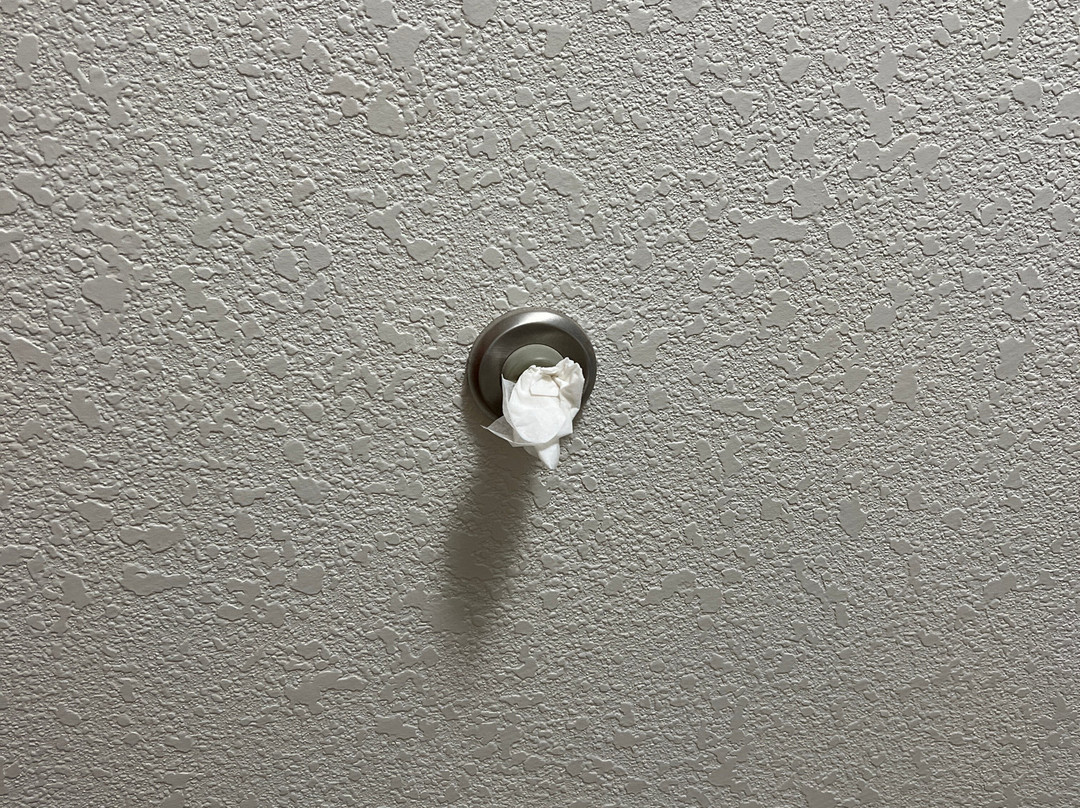 Best Western Plus Safford主图