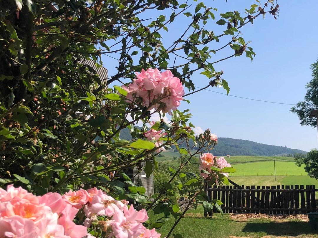 Domaine De Gourmandaz-Corcelles-Près-Concise必去景点