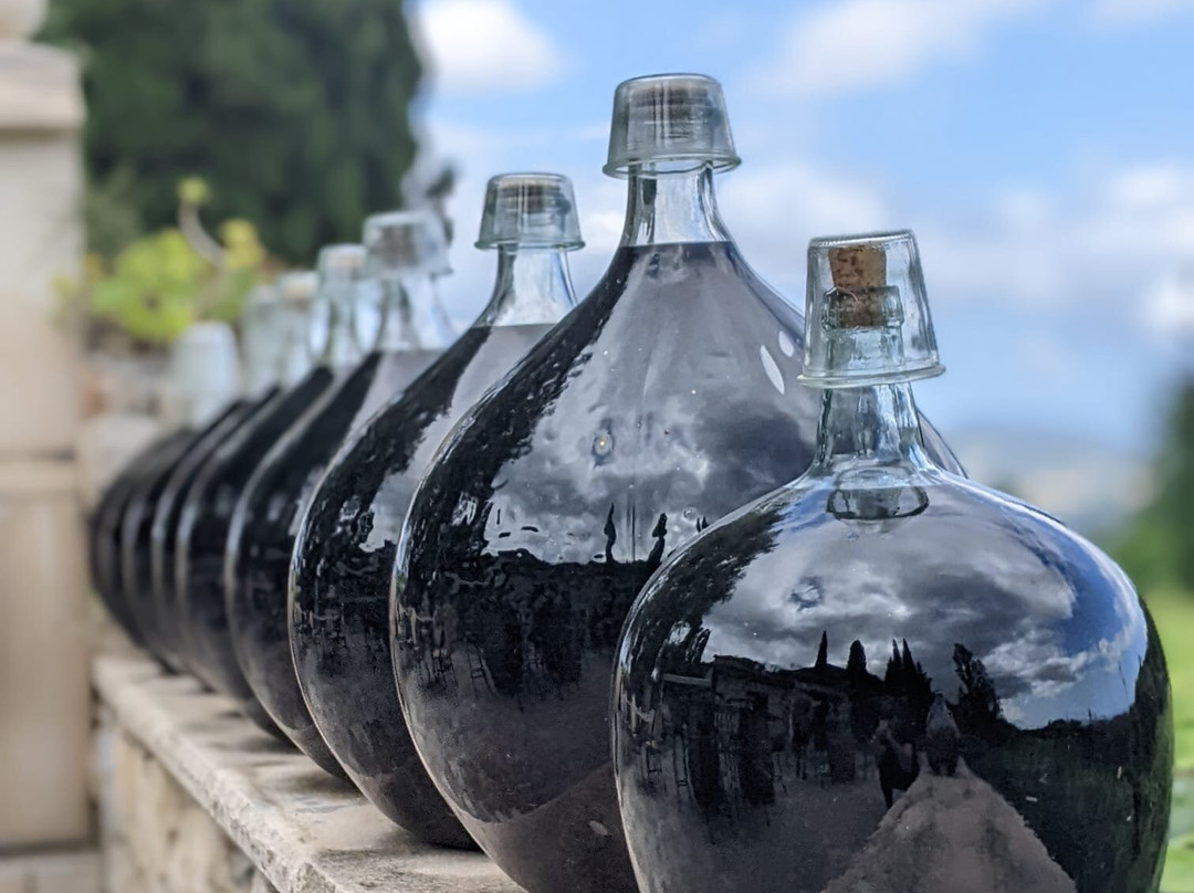 Domaine Des Hautes Collines景点图片
