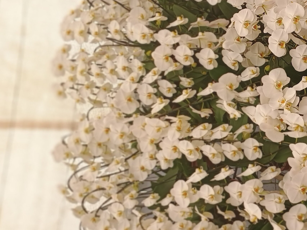 Festa de Flores e Morangos de Atibaia-阿蒂巴亚必去景点