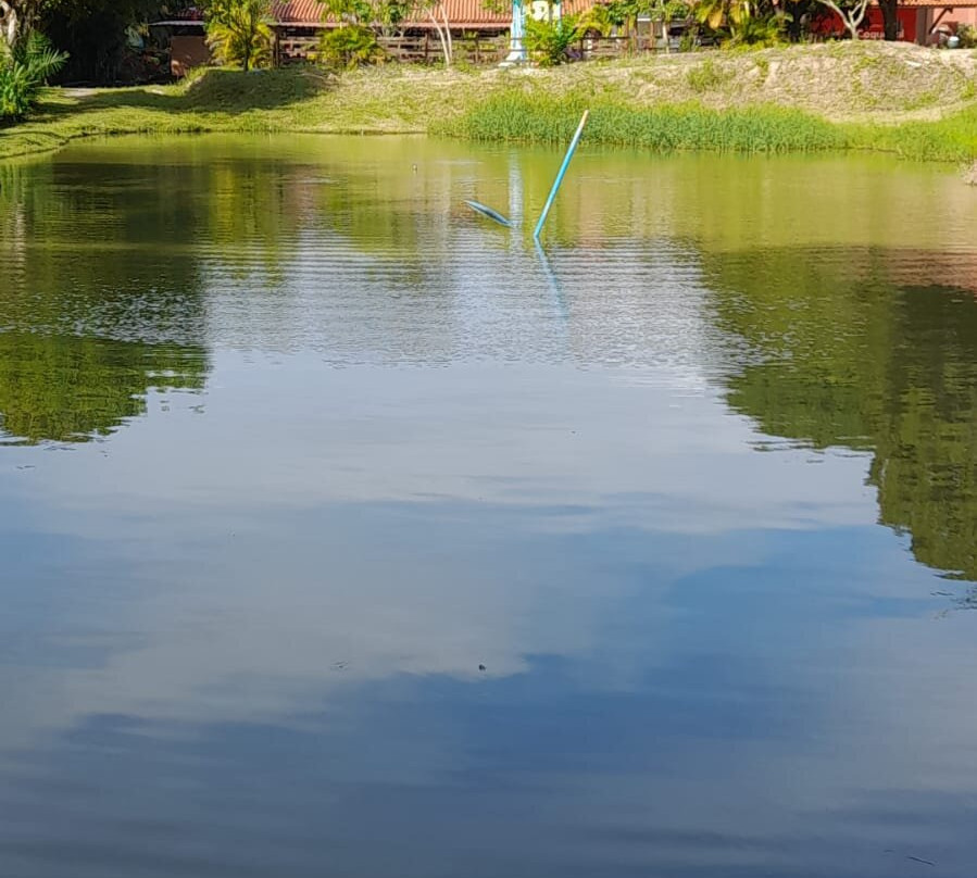 Coqueiral Park - Lazer Em Família-Olinda必去景点