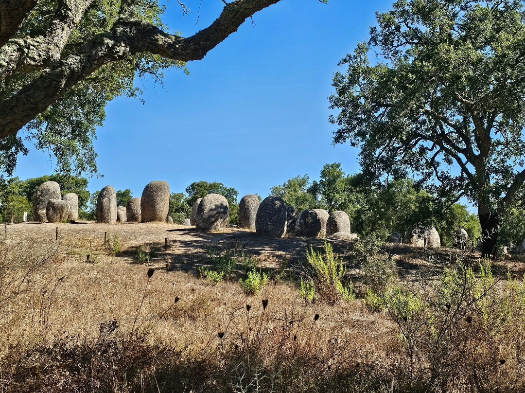 Cromeleque dos Almendres景点图片