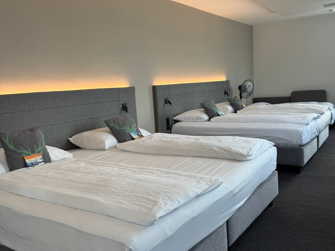 Hotel Allegra Lodge主图