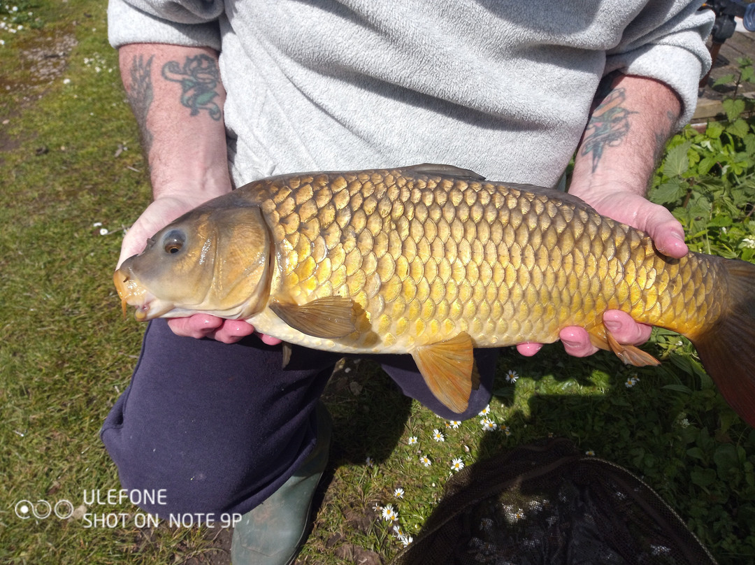 Asfordby Carp Pools & Storage景点图片