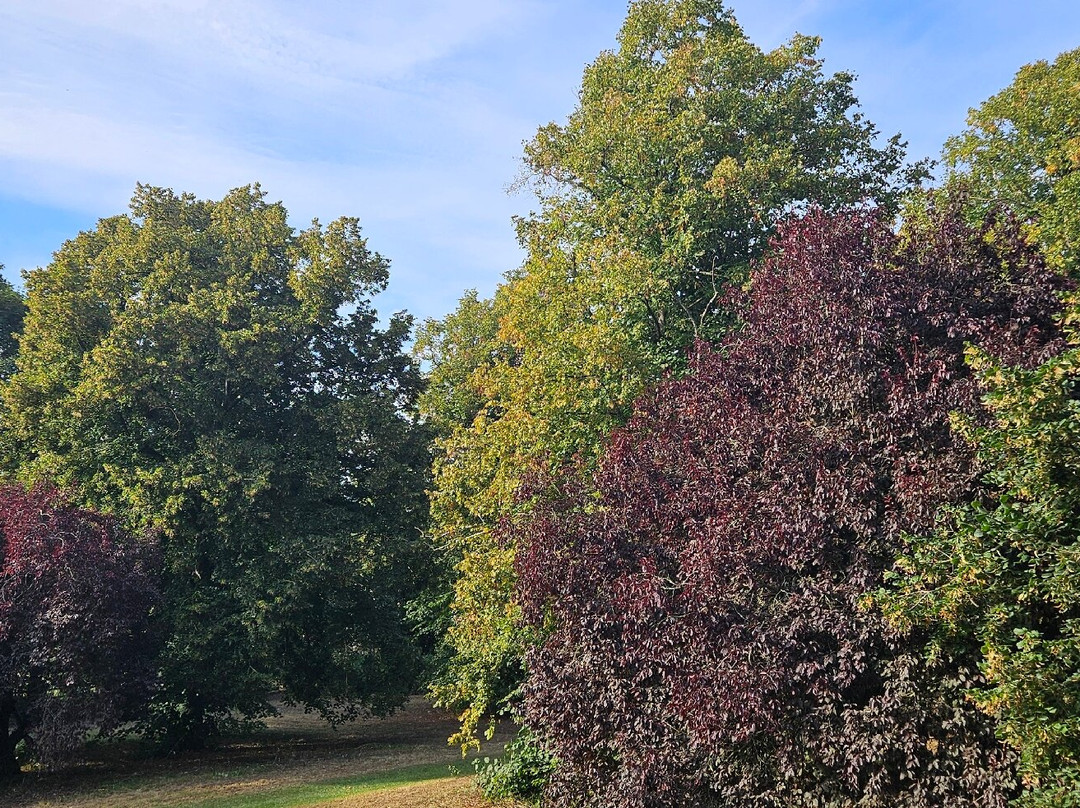 Darenth Country Park景点图片