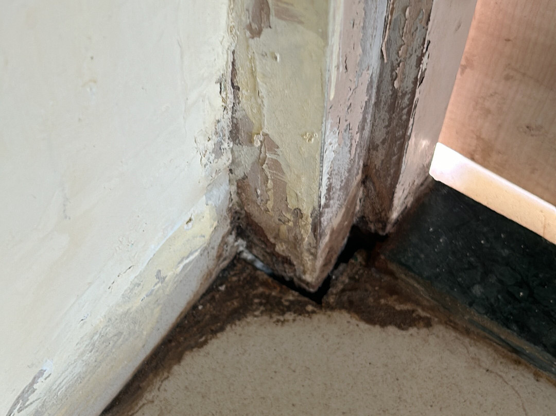 Vinyasa Treeland Saphale主图