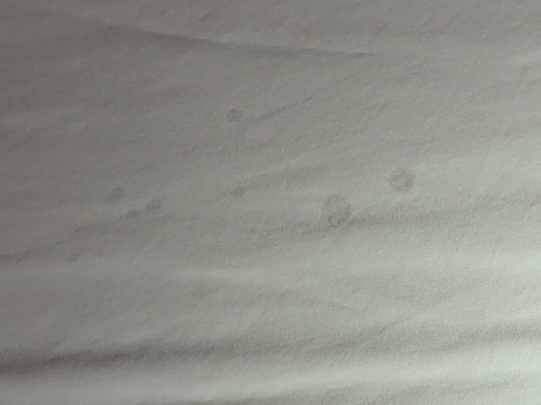 Baymont by Wyndham Lancaster主图