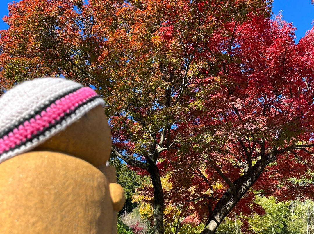 Hotoku-ji Temple景点图片