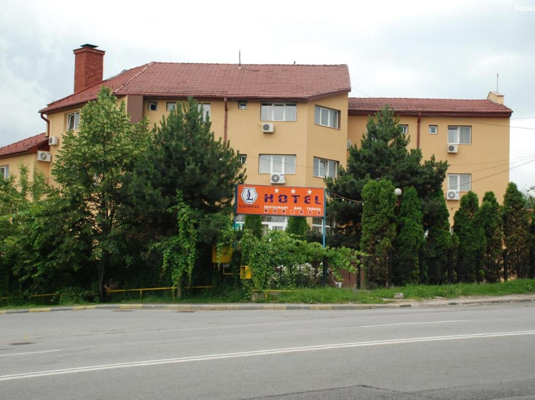 Hotel Liliacul主图